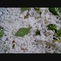 Meena Ramesh's cooksnap of when they made தேங்காய் சாதம்.