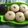Cooksnap dari Erni Oktavia untuk resep Apem Panggang