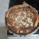El cooksnap de isaac fuentes cuando hizo Pastel de calabacín, cebolla caramelizada y queso fresco.