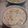 kanisuroll's cooksnap of when they made Mike's Garlic Shrimp Alfredo.