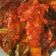 Cooksnap dari kang dhi untuk resep Terong Balado