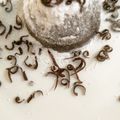 Cooksnap dari Sheilla Marsheilla Mirsya untuk resep Choco Lava Kukus Lumer Magic Com