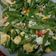 Cooksnap dari Mrs. Arsyad untuk resep Tumis buncis telor super mudah #homemadebylita