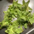 なお321's cooksnap of when they made ふきのとうの下処理方法&天ぷら.
