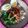 Cooksnap dari Pudji Rahaju untuk resep Nasi tim ayam jamur