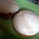 Cooksnap dari elvira Agustina untuk resep Kue Pukis