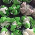 Cooksnap dari Winz Winz untuk resep Bolu kukus