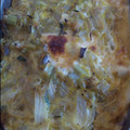 El cooksnap de Fernanda Vicencio cuando hizo Tortilla de verduras al horno(con pencas de acelga)!!.