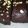 Cooksnap dari Reny Neva Anjani untuk resep Brownies Panggang