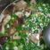 yichun 的 菇菇蔥雞湯 cooksnap