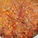El cooksnap de Angeles Jerezana cuando hizo Salsa boloñesa.