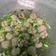 Cooksnap dari niki alviari untuk resep Bakso kuah seger