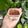 Cooksnap dari Agung Putu Mirah untuk resep Tiramisu Dessert Box