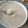 El cooksnap de Mariano cuando hizo Mazamorra criolla.