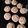 Mary Ruth Morse Blair's cooksnap of when they made Grandma M.'s Gingersnap Cookies.
