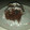 El cooksnap de Romi cuando hizo Budín de avena y chocolate 🍫 fit.
