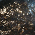 El cooksnap de NeCa cuando hizo Calamares en su tinta de Luarca.