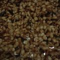 Cooksnap dari Syahira Binar untuk resep KACANG THAILAND