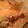 hikadeb's cooksnap of when they made 7 Layer dip.