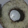 Cooksnap dari Parsiyah Goepang untuk resep Brownis coklat 6sdm saja