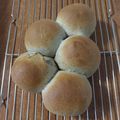 qtqt 的 巧克力麵包 cooksnap