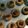Cooksnap dari grace triguna untuk resep Kue Kacang Klasik