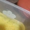 Cooksnap dari Sumiati Astuti untuk resep Cendol nutrijel