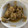 El cooksnap de Pedro Barnet Bertos cuando hizo Pollo a la cerveza (en olla rápida) con verduritas (en airFryer).