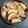 thakkarmansi's cooksnap of when they made ફ્રુટસ નો પ્રસાદ.