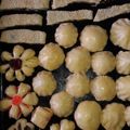 صورة من ام ساره العراقيه، شاركها بعد تجربة وصفة معمول بتمر