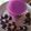 सैफ कनक गोपाल गुप्ता's cooksnap of when they made Jamun smoothy.