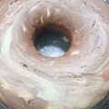 El cooksnap de Ceci Chechu Sayueque cuando hizo Budín de vainilla.