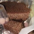 Cooksnap dari Fara untuk resep Agar - Agar lumut Gula merah