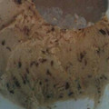 El cooksnap de Cintia Lorena cuando hizo Helado de dulce de leche granizado fácil.