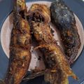 Cooksnap dari febi anggoro untuk resep Lele goreng (+ tips agar garing, tidak lengket & tidak meletus)