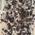 El cooksnap de Micaela Rodríguez cuando hizo Chocotorta pero con crema de leche.