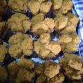 Cooksnap dari Mihati Lativa untuk resep Bolu Kukus Gula Merah resep Tintin Rayner