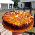 El cooksnap de Karina Cardona cuando hizo Torta invertida de manzana.