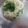 Pravin 's cooksnap of when they made Upama and chutney -Typically Indian.