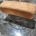 کوک اسنپ Giti بعد از امتحان کردن نان تست کره ای.