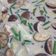 Cooksnap dari Ary Andri untuk resep Sayur Lodeh