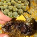 Cooksnap dari Novita untuk resep Melted Crispy Banana Ball (Bola pisang crispy lumer)