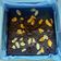 Cooksnap dari Vino Lia untuk resep Brownies Tepung Singkong (Brownies Mocaf)