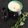 Sonal Gaurav Suthar's cooksnap of when they made કઢી(Kadhi Recipe in Gujarati).