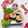 Cooksnap dari Erlina untuk resep Nasi Uduk Bakar Jeroan Sapi Pedas