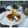 Cooksnap dari Mrs.Yulia Wilson ( Mommy's Simple Kitchen) untuk resep Kicang