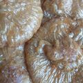 Cooksnap dari Erma Suryani untuk resep 82.Kue cucur gula merah bersarang&anti gagal