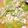 TingAn Lin 的 鹹蛋絲瓜 cooksnap