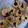 El cooksnap de Ceci Mald cuando hizo Galletitas keto de coco y arándanos.