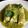 El cooksnap de Lena T cuando hizo ENCHILADAS POBLANAS FIT || #Puebla.